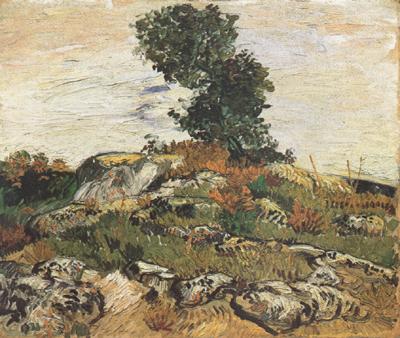 Vincent Van Gogh Rocks with Oak Trees (nn04)